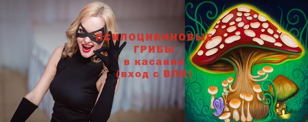 кристаллы Дмитриев