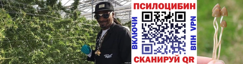 Псилоцибиновые грибы мухоморы  Купить  Нюрба 